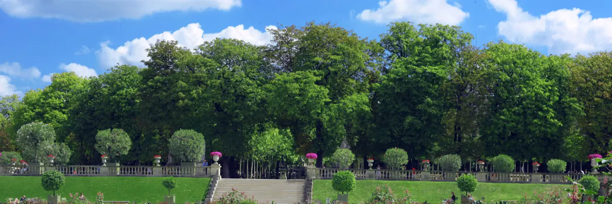 Parterres fleuris et allées du jardin du Luxembourg, Paris 6e